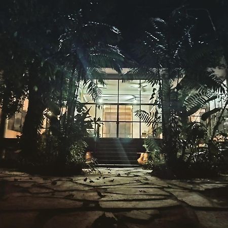 Canto De La Selva Jungle Lodge Selva Lacandona Chiapas Galaxia Eksteriør bilde