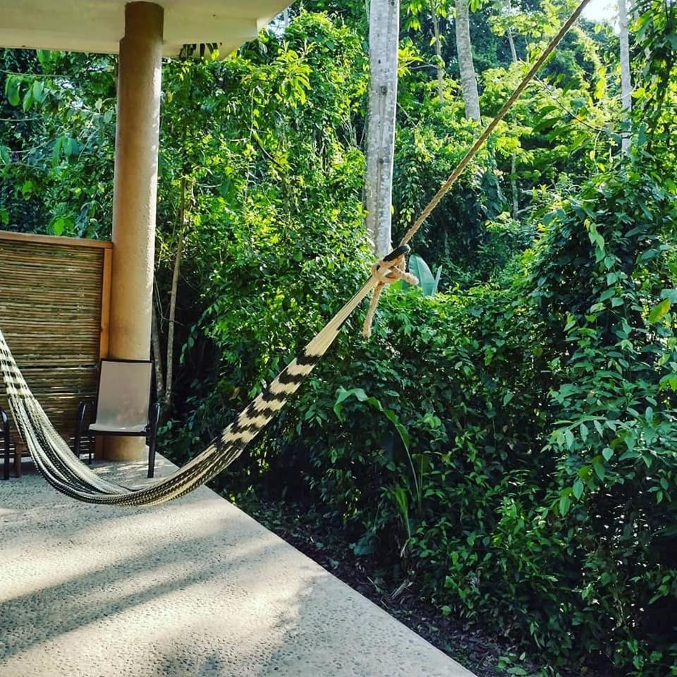 Canto De La Selva Jungle Lodge Selva Lacandona Chiapas Galaxia Eksteriør bilde